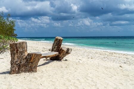 Lady Elliot Island shoreline Great Barrier Reef, Australiaの写真素材