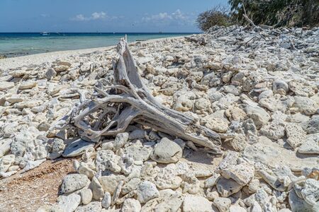 Lady Elliot Island shoreline Great Barrier Reef, Australiaの写真素材
