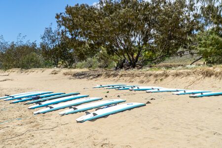 on the beautiful beach of Agnes Water in Australia you will find many surfboardsの写真素材