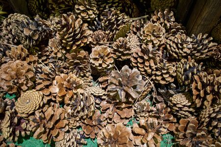 many fir cones are spread out on the ground for decoration