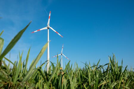 a wind turbine stands on a green field in front of a cloudless blue sky