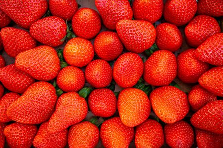 many fresh red strawberries lie side by side in a boxの写真素材