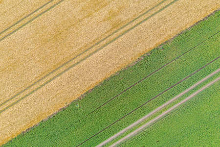 a drone photograph from a grain field shows parallel tractor tracks that form a patternの写真素材