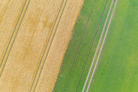 a drone photograph from a grain field shows parallel tractor tracks that form a patternの写真素材