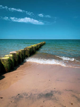 Wooden groynes lead as breakwaters into the Baltic Seaの写真素材
