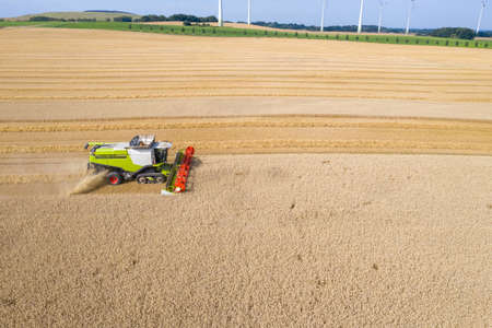 a combine harvests a field of grain in fine weather