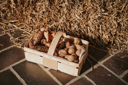 in a bast basket there are walnuts and fir conesの写真素材