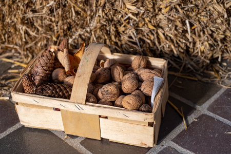 in a bast basket there are walnuts and fir conesの写真素材