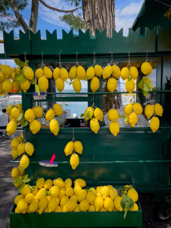 on a green stall hang many yellow lemonsの写真素材