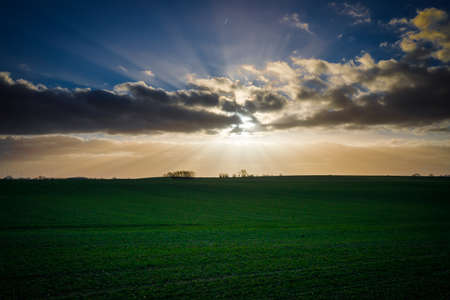 in the blue sky the sun rays shine over a green field and the sky is blue