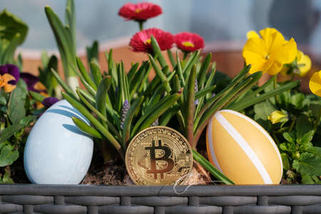 a bitcoin coin stands next to two easter eggs in a flower box