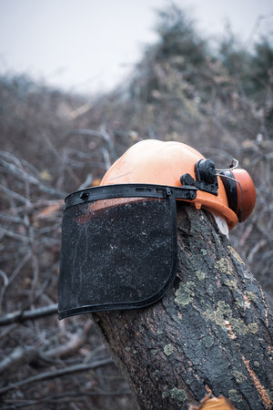 a hard hat with visor and hearing protection is stuck on a tree trunkの写真素材