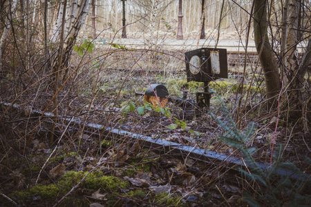 there is a switch next to a disused railroad track