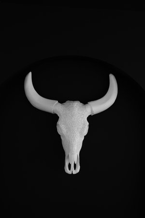 a white skull of a bull hangs on a black wall as decorationのeditorial素材