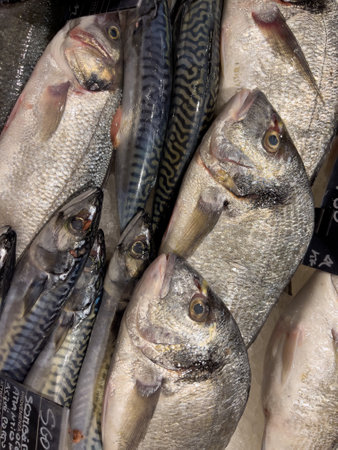 in the displays of a fishmonger lies a lot of fresh fishの写真素材