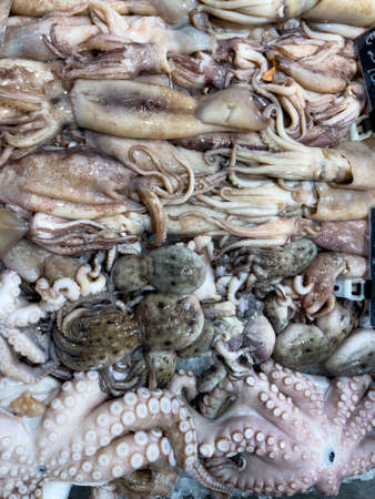 in the displays of a fishmonger lies a lot of fresh fish