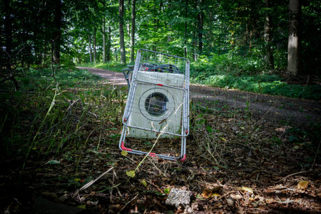 a washing machine and a clothes horse were illegally disposed of in a forest