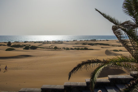 The large dunes of Maspalomas on Gran Canaria Island are a natural spectacleの写真素材