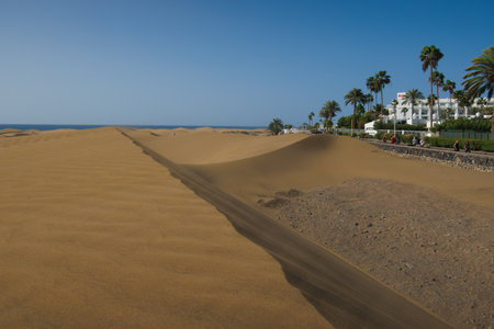 The large dunes of Maspalomas on Gran Canaria Island are a natural spectacleの写真素材