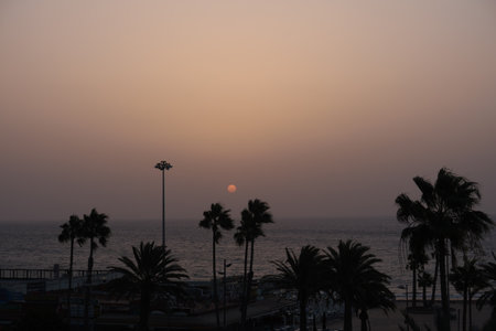 behind some palm trees the sun rises over the seaの写真素材