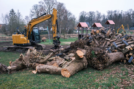 a sawn-up tree trunk is moved with an excavator