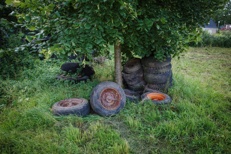 old tires were disposed of under a tree in the gardenの写真素材