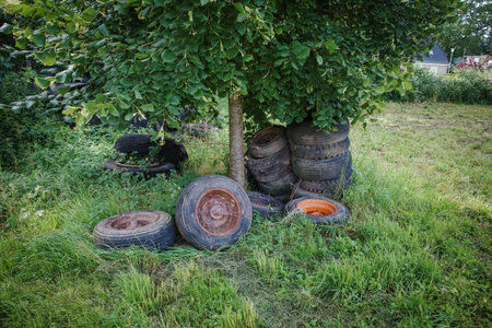 old tires were disposed of under a tree in the gardenの写真素材