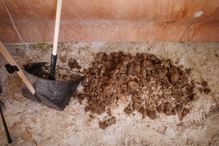 the Horse manure is swept up with a shovel and broomの写真素材