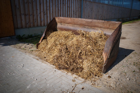the Horse manure is swept up with a shovel and broomの写真素材