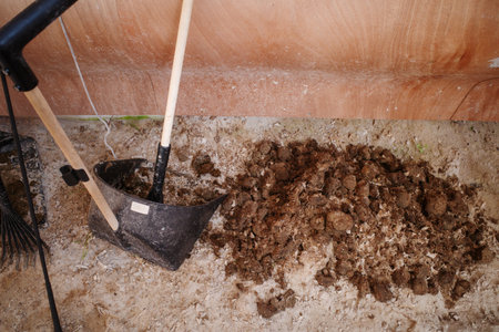 the Horse manure is swept up with a shovel and broomの写真素材