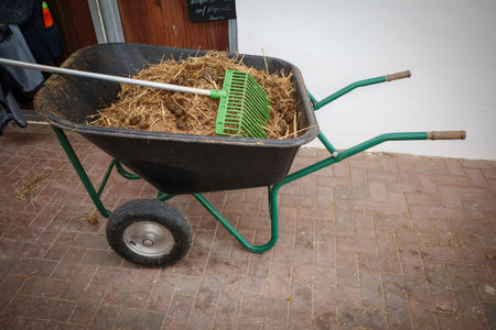 the Horse manure is disposed of with a wheelbarrowの写真素材