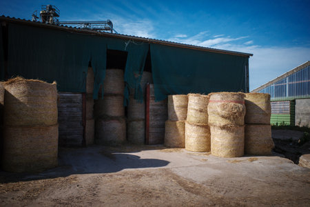 many large bales of hay stored on a farmの写真素材