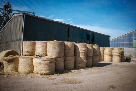 many large bales of hay stored on a farmの写真素材