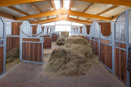 inside a newly built horse stable on a farmの写真素材