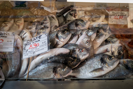 Fresh whole sea bream fish displayed on ice at a local fish market counter, labeled with prices in euros. Close-up of raw seafood ready for sale, traditional Mediterranean market scene with sea bream fish and other seafood varieties.の写真素材