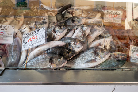 Fresh whole sea bream fish displayed on ice at a local fish market counter, labeled with prices in euros. Close-up of raw seafood ready for sale, traditional Mediterranean market scene with sea bream fish and other seafood varieties.の写真素材