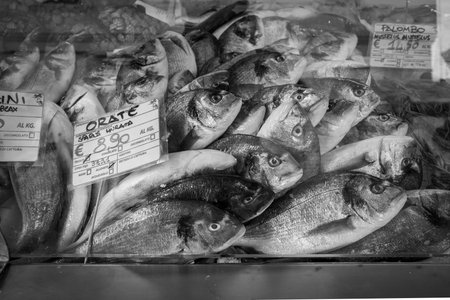 Black and white photograph of fresh fish displayed at a traditional seafood market. Several sea breams (Orata) and other fish varieties are stacked on ice with handwritten price tags in Italian. The monochrome composition highlights texture, detail, and authenticity, capturing the atmosphere of Mediterranean fish markets and local gastronomy â perfect for illustrating food culture, fishing industry, and culinary traditions.の写真素材