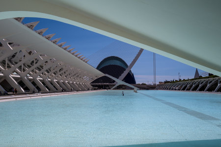 A spectacular view of the City of Arts and Sciences (Ciudad de las Artes y las Ciencias) in...