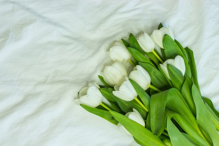 A bouquet of white tulips on a white background. A bouquet of spring flowers on the bed. Holiday. Warm spring.の写真素材