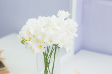 Cozy picture. Bouquet of white flowers in a vase and a book on a white table.の写真素材