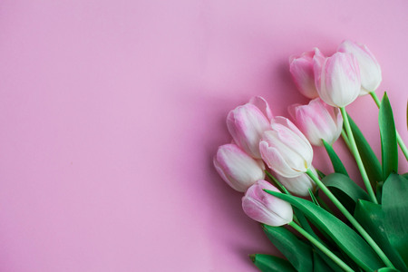 A bouquet of tulips on a pink background. Gift. A box with a gift. International Women's Day. Holidays. Spring. Cozyの写真素材