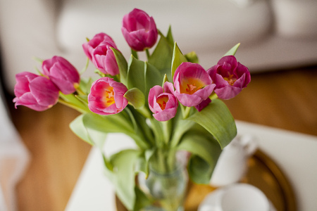 Spring interior. A bouquet of tulips in a glass vase, a golden tray, a cup, a teapot, a pink plaid, a sofa. Cozy.の写真素材