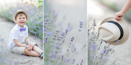 A little boy of 5 years old walks in a flowered park. Lavender. Spring.の写真素材