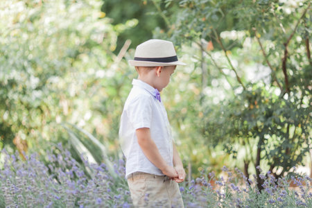 A little boy of 5 years old walks in a flowered park. Lavender. Spring.の写真素材