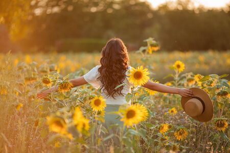 Young Asian woman with curly hair in a field of sunflowers at sunset. Portrait of a young beautiful asian woman in the sun. Summer.の写真素材