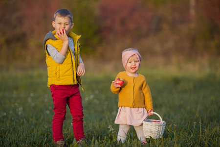 Little cute boy and girl are playing in the autumn garden. Brother and sister with red apples.の写真素材