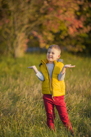 Little cute boy 5 years old walks in the autumn garden. Portrait of a happy boy in bright, autumn clothes.の写真素材