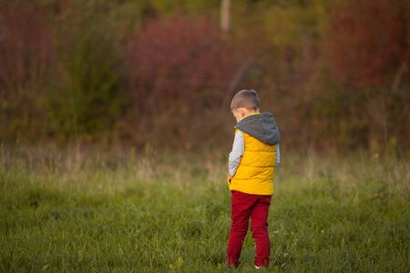 Little cute boy 5 years old walks in the autumn garden. Portrait of a happy boy in bright, autumn clothes.の写真素材