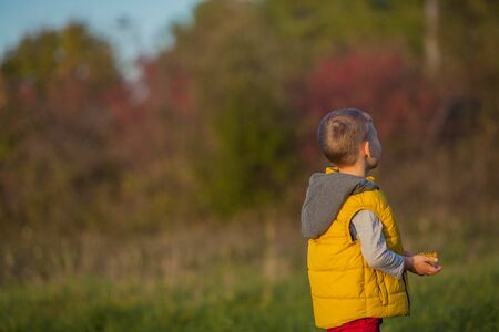 Little cute boy 5 years old walks in the autumn garden. Portrait of a happy boy in bright, autumn clothes.の写真素材