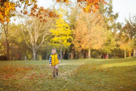 Little cute boy 5 years old walks in the autumn garden. Portrait of a happy boy in bright, autumn clothes.の写真素材